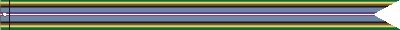 Armed Forces Expeditionary Ribbon #12