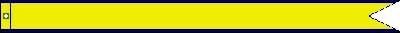 China Relief Expedition Ribbon #22