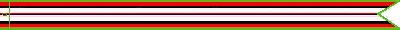 Afghanistan Campaign Ribbon #593